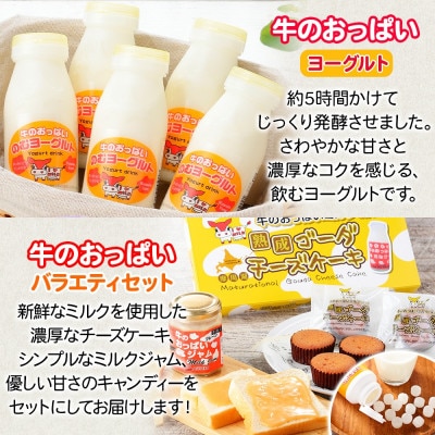 【北海道】渡辺体験牧場 ミルク&珈琲&のむヨーグルト&キャンディ&チーズケーキ&ジャム 785