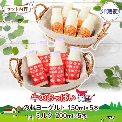 【北海道】牛のおっぱいミルク 白 5本・のむヨーグルト 5本 計10本 セット 786