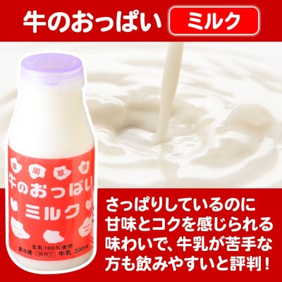 【北海道】牛のおっぱいミルク 白 5本・コーヒー 5本 計10本 セット 787
