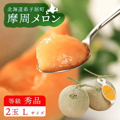 摩周メロン秀品2玉入り(1玉1.3kg以上)　3074