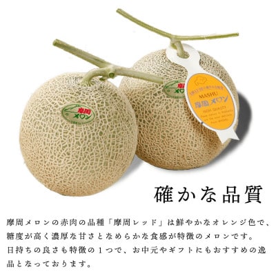 摩周メロン秀品2玉入り(1玉1.3kg以上)　3074
