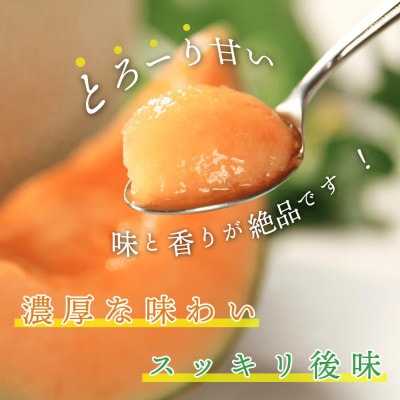 《贈答用 木箱入》摩周メロン秀品1玉 木箱入り(1玉2kg以上)　3076
