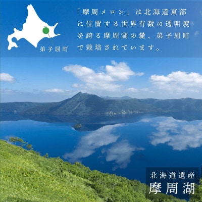 《贈答用 木箱入》摩周メロン秀品1玉 木箱入り(1玉2kg以上)　3076