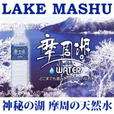 摩周湖の天然水(非加熱製法) 500ml×24本 ミネラルウォーター 弟子屈町 1151