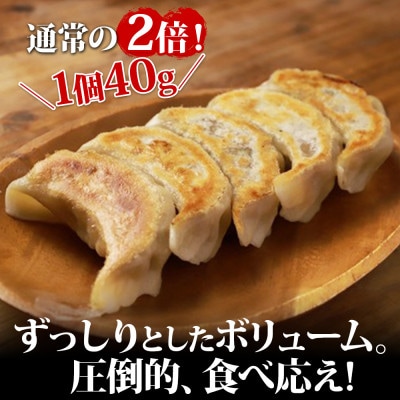 よだれ餃子 10個入 9パック 計90個 1個40gのボリューム 北海道弟子屈町 1813
