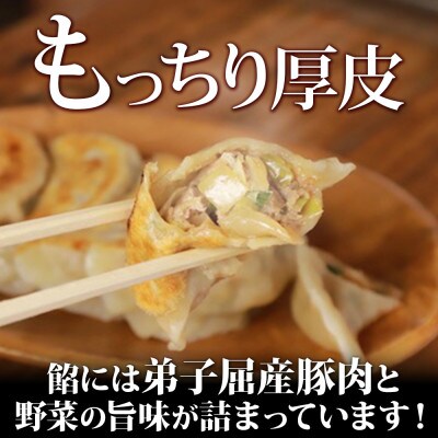 よだれ餃子 10個入 9パック 計90個 1個40gのボリューム 北海道弟子屈町 1813