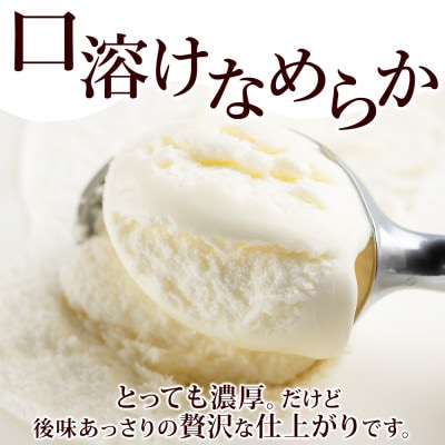 牧之瀬牧場のミルクアイスクリーム 2L ブラウンスイス種の生乳使用 北海道 弟子屈町 1807