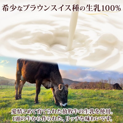 牧之瀬牧場のミルクアイスクリーム 2L ブラウンスイス種の生乳使用 北海道 弟子屈町 1807