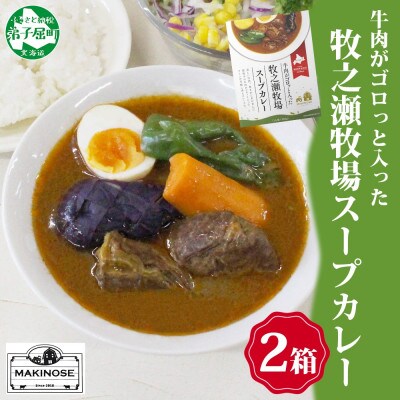 ビーフスープカレー 300g 2箱 牛肉ゴロっと 牧之瀬牧場 北海道 弟子屈町 3021