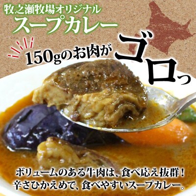 ビーフスープカレー 300g 2箱 牛肉ゴロっと 牧之瀬牧場 北海道 弟子屈町 3021
