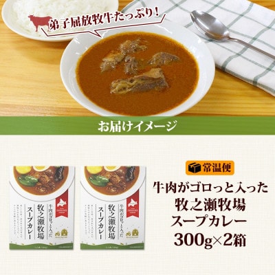 ビーフスープカレー 300g 2箱 牛肉ゴロっと 牧之瀬牧場 北海道 弟子屈町 3021