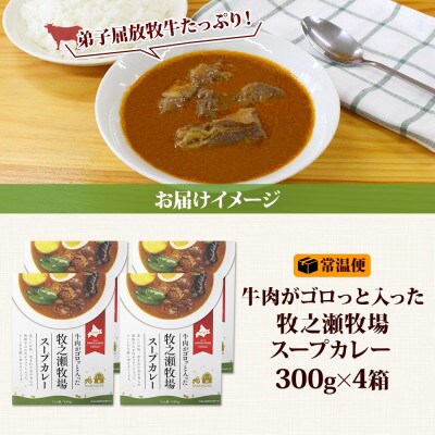 ビーフスープカレー 300g 4箱 牛肉ゴロっと 牧之瀬牧場 北海道 弟子屈町 3022