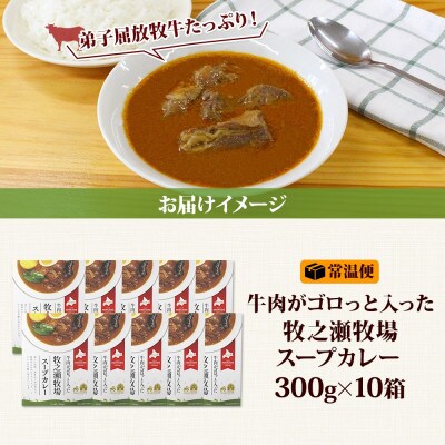 ビーフスープカレー 300g 10箱 牛肉ゴロっと 牧之瀬牧場 北海道 弟子屈町 3023