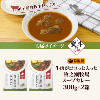 【のし付】 ビーフスープカレー 300g 2箱 牛肉ゴロっと 牧之瀬牧場 北海道 弟子屈町 3025