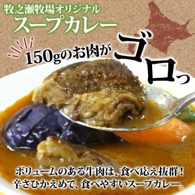 【のし付】 ビーフスープカレー 300g 4箱 牛肉ゴロっと 牧之瀬牧場 北海道 弟子屈町 3026