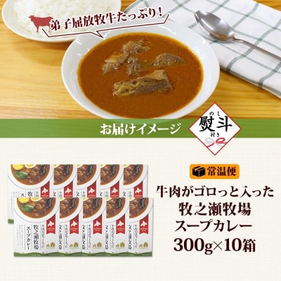 【のし付】ビーフスープカレー 300g 10箱 牛肉ゴロっと 牧之瀬牧場 北海道 弟子屈町 3027