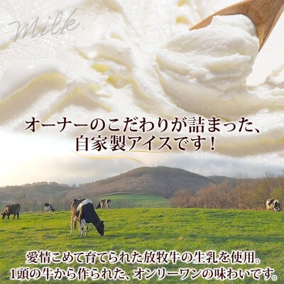 牧之瀬牧場 自家製アイス 濃厚ミルク 90ml 12個 生乳 北海道 弟子屈町 3139