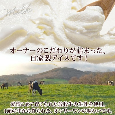 牧之瀬牧場 自家製 ホエイアイス 蜂蜜サトウキビ 6個 北海道 弟子屈町 3451