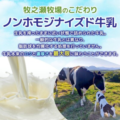 牧之瀬牧場 ノンホモジナイズド牛乳 900ml×1本 150ml×3本 北海道 弟子屈町 3456
