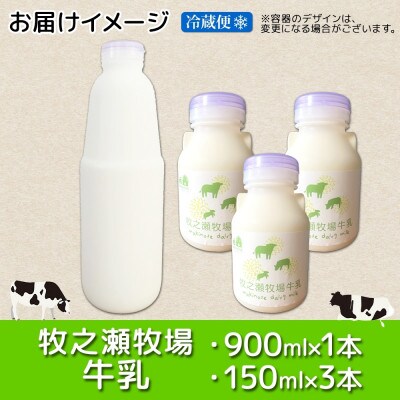 牧之瀬牧場 ノンホモジナイズド牛乳 900ml×1本 150ml×3本 北海道 弟子屈町 3456