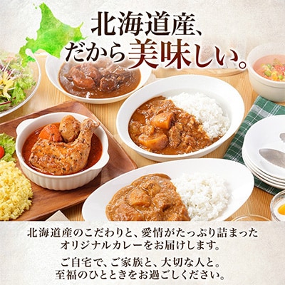【北海道】北国のまるごとチキンレッグスープカレー300g×10個 578