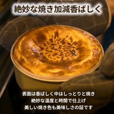 【毎月定期便】【定期便2ヶ月】プレミアム 弟子屈ベイクドチーズケーキ 6号 ホール 1個全2回