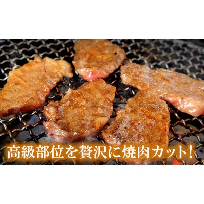A5～A4等級 宮崎牛 サーロイン 焼肉 600g(諸塚村)