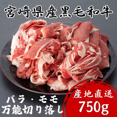 宮崎県産黒毛和牛バラ・モモ万能切り落し 750g(諸塚村)