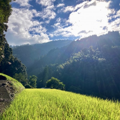 おいしい水が育んだお米 諸塚村産白米ヒノヒカリ 5kg