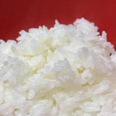 【美味しい水が育んだお米!】諸塚村産ヒノヒカリ精米5kg×2袋入