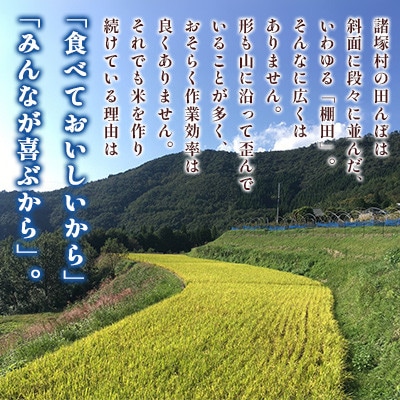 【美味しい水が育んだお米!】諸塚村産ヒノヒカリ精米5kg×4袋入