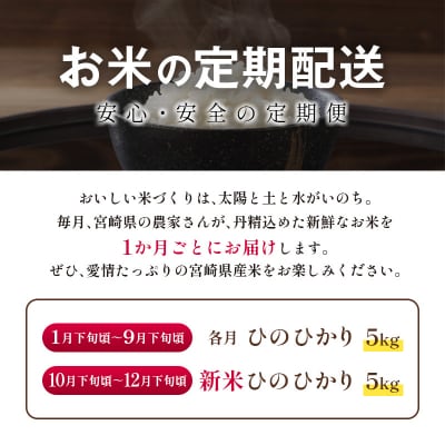 【2023年1年間定期便】宮崎県産ヒノヒカリ無洗米　5kg×12回[1421]