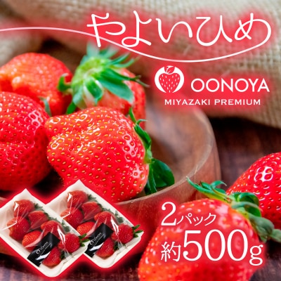 先行受付【約500g】苺大野屋「やよいひめ」(2パック)宮崎県西都市[2898]