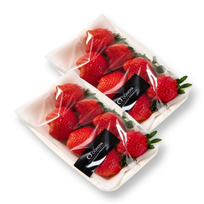 先行受付【約500g】苺大野屋「やよいひめ」(2パック)宮崎県西都市[2898]