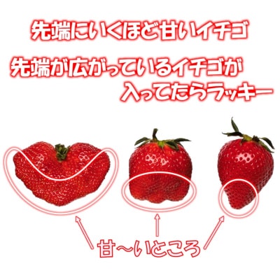 先行受付【約500g】苺大野屋「やよいひめ」(2パック)宮崎県西都市[2898]