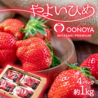 先行受付【約1kg】苺大野屋「やよいひめ」(4パック)宮崎県西都市[2899]