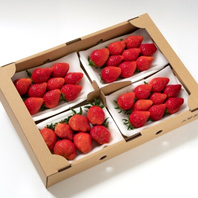 先行受付【約1kg】苺大野屋「やよいひめ」(4パック)宮崎県西都市[2899]