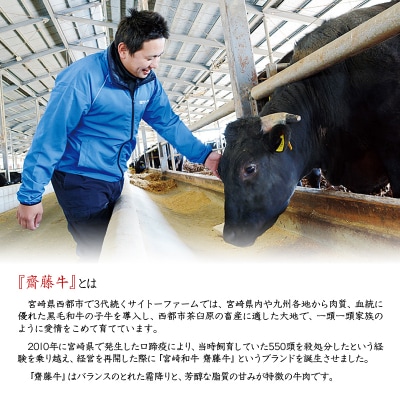 宮崎和牛1.2kg切り落とし小分け400g×3パック黒毛和牛「齋藤牛」[2253]
