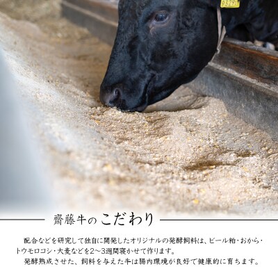 宮崎和牛1.2kg切り落とし小分け400g×3パック黒毛和牛「齋藤牛」[2253]