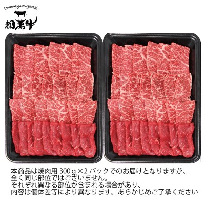 【都萬牛】黒毛和牛焼肉セット 600g(300g×2)　宮崎県産黒毛和牛[3168]
