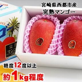【大玉4L×2玉】約1kg糖度12度以上(JA西都)完熟マンゴー西都産【さとふる限定】[1009]