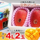 【大玉4L×2玉】約1kg糖度12度以上(JA西都)完熟マンゴー西都産【先行受付】[1009]