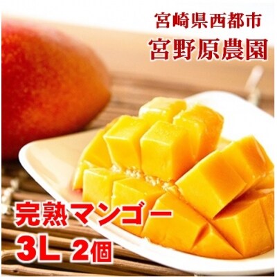 宮野原農園【3Lサイズ2個入】宮崎県西都市産完熟マンゴー　スターズマンゴー【先行受付】[1908] | ふるさと納税のお礼品