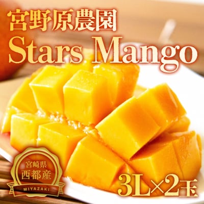 宮野原農園【3Lサイズ2個入】宮崎県西都市産完熟マンゴー　スターズマンゴー【先行受付】[2903]