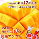 【約1kg】糖度12度以上(JA西都)ご家庭用完熟マンゴー西都産【先行受付】[1237]