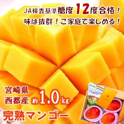 【約1kg】糖度12度以上(JA西都)ご家庭用完熟マンゴー西都産[1237]