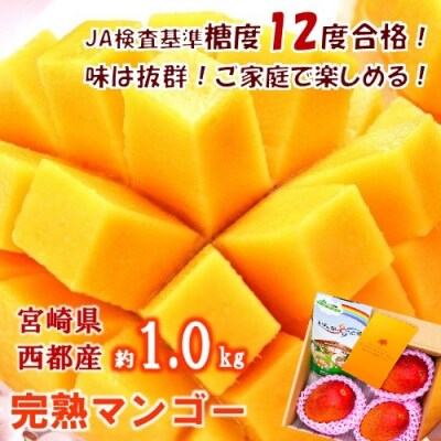 本日終了【約1kg】糖度12度以上(JA西都)ご家庭用完熟マンゴー西都産[1237]