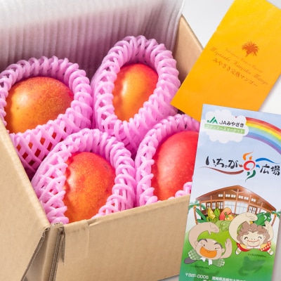 【約1kg】糖度12度以上(JA西都)ご家庭用完熟マンゴー西都産【先行受付】[1237]