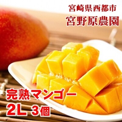 宮野原農園【2Lサイズ3個入】宮崎県西都市産完熟マンゴー　スターズマンゴー【順次発送中】[1909] | ふるさと納税のお礼品