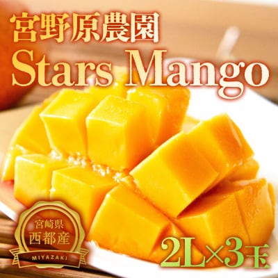 宮野原農園【2Lサイズ3個入】宮崎県西都市産完熟マンゴー　スターズマンゴー【先行受付】[2672]